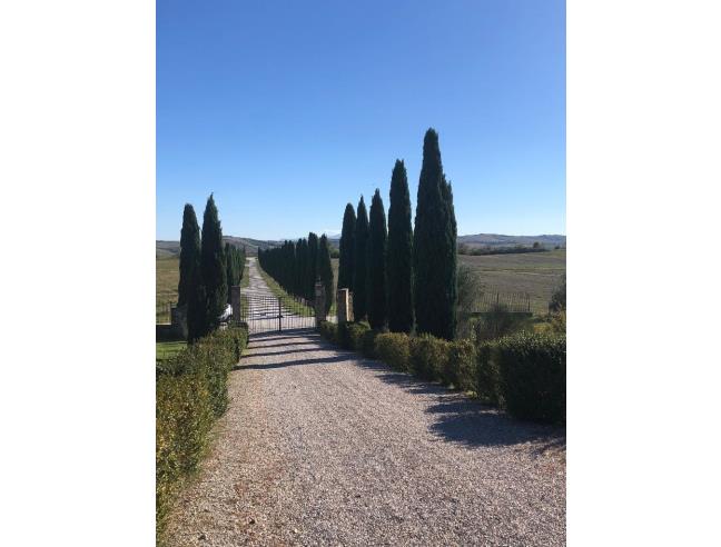 Anteprima foto 6 - Rustico/Casale in Vendita a Asciano (Siena)