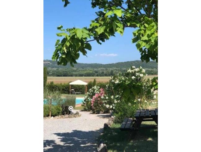 Anteprima foto 8 - Rustico/Casale in Vendita a Asciano (Siena)