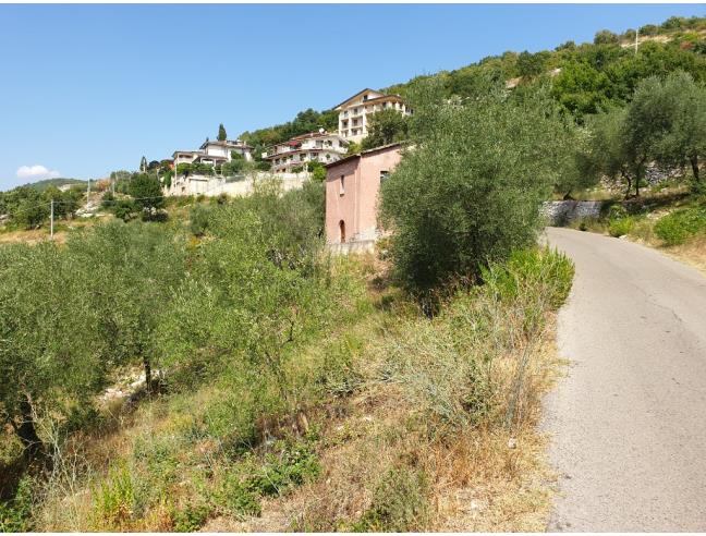 Anteprima foto 3 - Rustico/Casale in Vendita a Ausonia (Frosinone)