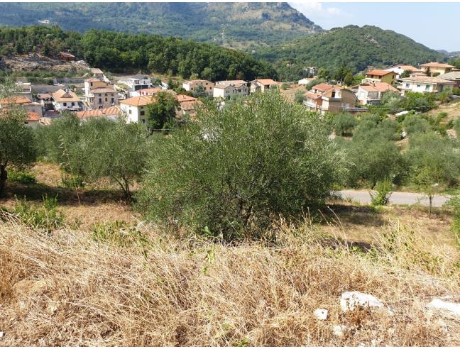 Anteprima foto 4 - Rustico/Casale in Vendita a Ausonia (Frosinone)