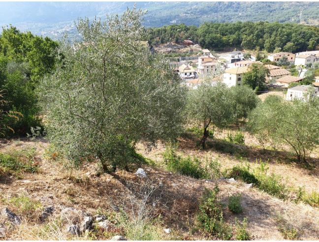 Anteprima foto 5 - Rustico/Casale in Vendita a Ausonia (Frosinone)