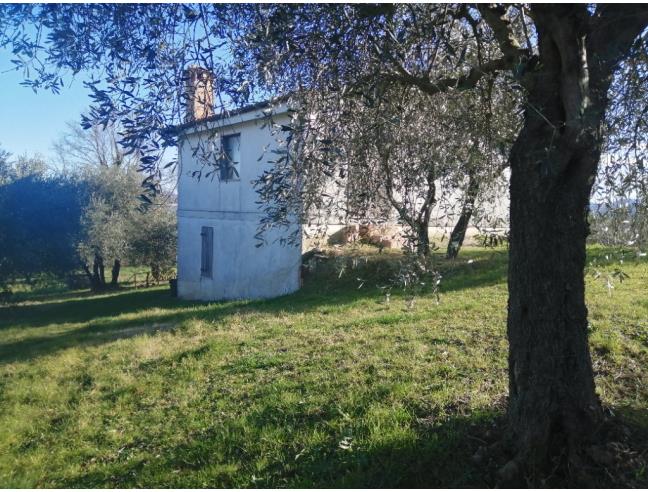 Anteprima foto 1 - Rustico/Casale in Vendita a Avigliano Umbro (Terni)