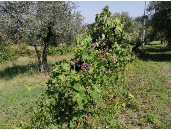 Anteprima foto 2 - Rustico/Casale in Vendita a Avigliano Umbro (Terni)