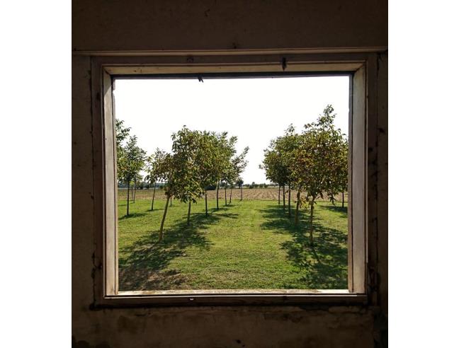 Anteprima foto 1 - Rustico/Casale in Vendita a Badia Polesine - Villa Fora