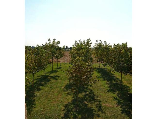 Anteprima foto 3 - Rustico/Casale in Vendita a Badia Polesine - Villa Fora