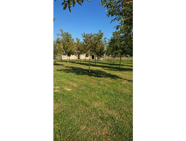 Anteprima foto 5 - Rustico/Casale in Vendita a Badia Polesine - Villa Fora