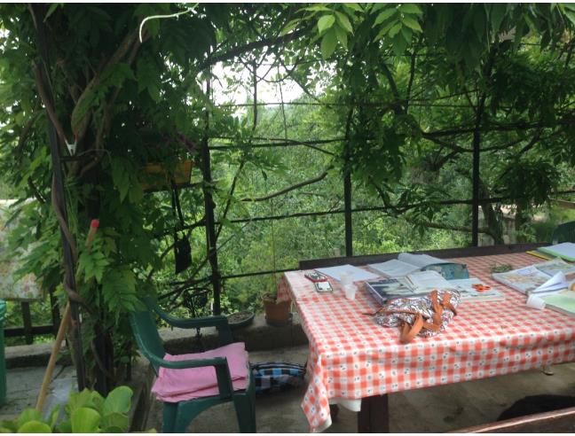 Anteprima foto 6 - Rustico/Casale in Vendita a Bagnolo Piemonte - Olmetto
