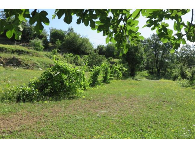 Anteprima foto 6 - Rustico/Casale in Vendita a Bagnone - Collesino