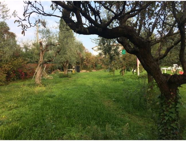 Anteprima foto 7 - Rustico/Casale in Vendita a Bardolino - Calmasino