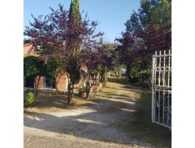 Anteprima foto 4 - Rustico/Casale in Vendita a Bassano in Teverina (Viterbo)