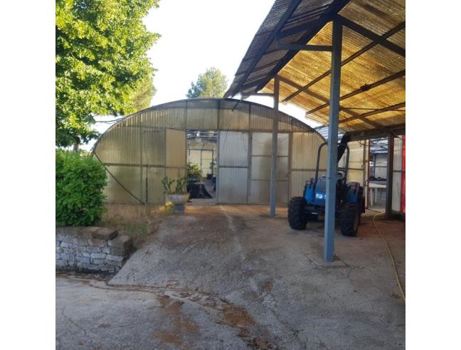 Anteprima foto 5 - Rustico/Casale in Vendita a Bassano in Teverina (Viterbo)