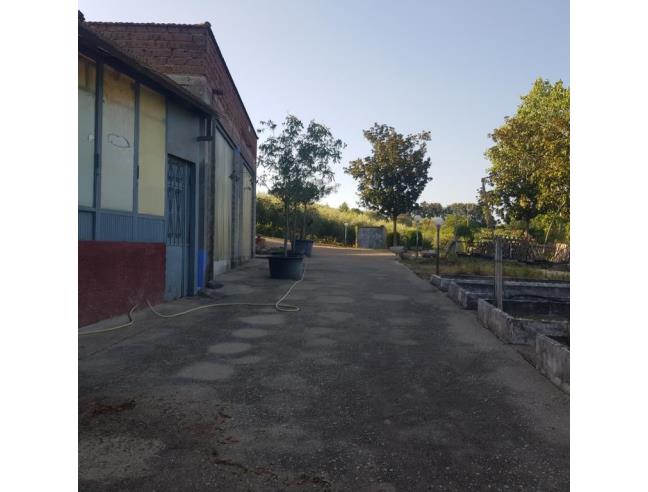 Anteprima foto 6 - Rustico/Casale in Vendita a Bassano in Teverina (Viterbo)