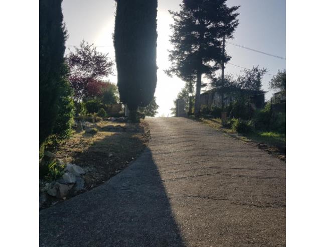 Anteprima foto 7 - Rustico/Casale in Vendita a Bassano in Teverina (Viterbo)