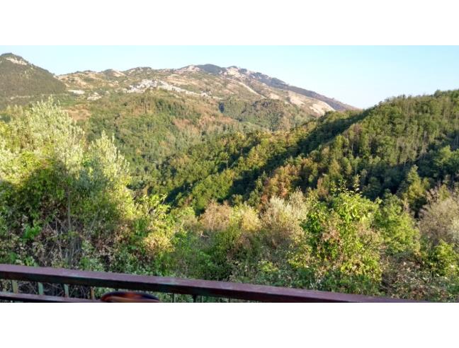 Anteprima foto 5 - Rustico/Casale in Vendita a Bellegra (Roma)