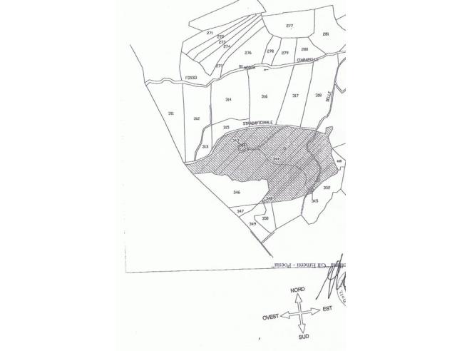 Anteprima foto 5 - Rustico/Casale in Vendita a Bellegra (Roma)