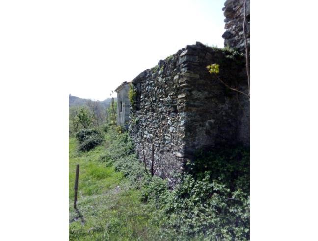 Anteprima foto 5 - Rustico/Casale in Vendita a Belmonte Calabro (Cosenza)