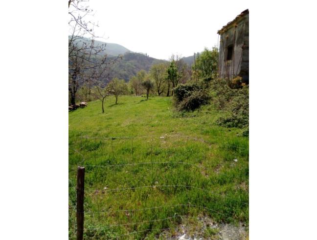 Anteprima foto 8 - Rustico/Casale in Vendita a Belmonte Calabro (Cosenza)