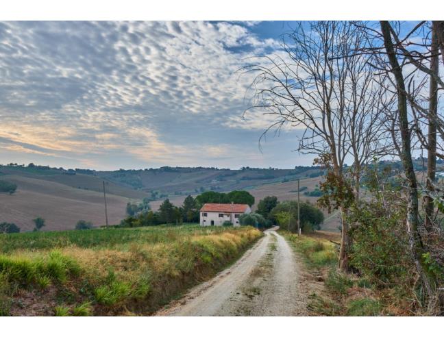Anteprima foto 2 - Rustico/Casale in Vendita a Belvedere Ostrense (Ancona)