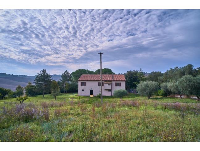 Anteprima foto 3 - Rustico/Casale in Vendita a Belvedere Ostrense (Ancona)