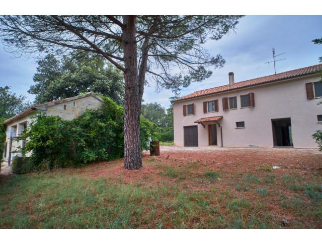 Anteprima foto 5 - Rustico/Casale in Vendita a Belvedere Ostrense (Ancona)