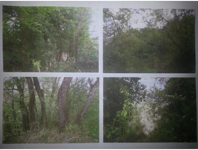 Anteprima foto 7 - Rustico/Casale in Vendita a Benevento - Centro città