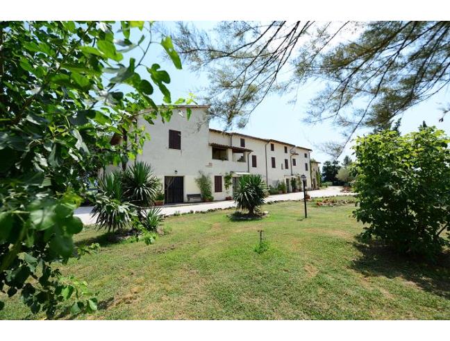 Anteprima foto 3 - Rustico/Casale in Vendita a Bevagna - Cantalupo