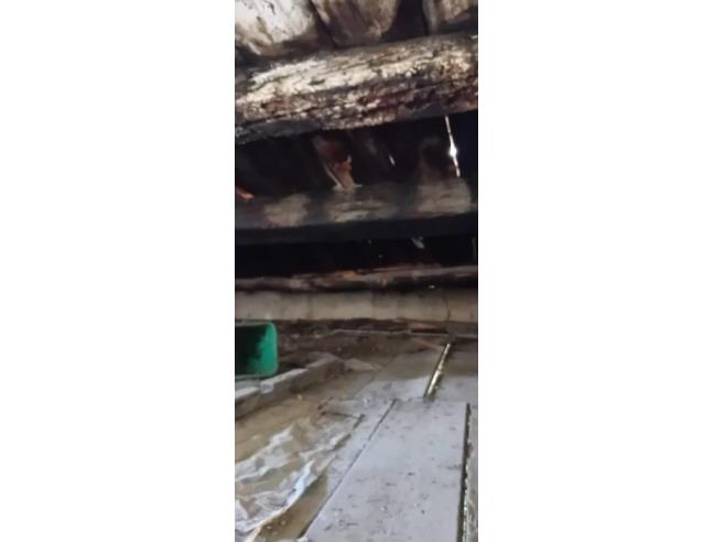 Anteprima foto 4 - Rustico/Casale in Vendita a Bocchigliero (Cosenza)