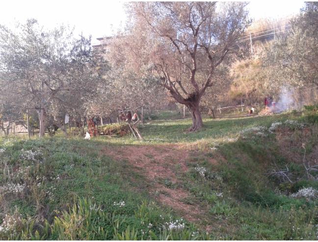 Anteprima foto 4 - Rustico/Casale in Vendita a Bonifati (Cosenza)