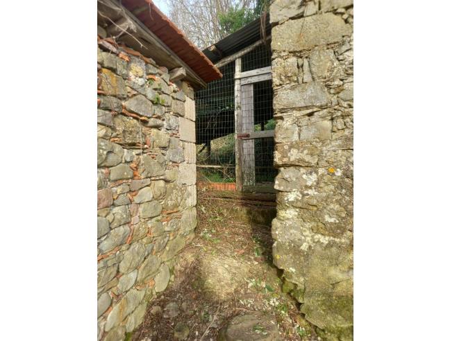 Anteprima foto 2 - Rustico/Casale in Vendita a Borghetto di Vara - Ripalta