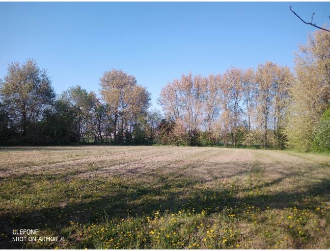 Anteprima foto 7 - Rustico/Casale in Vendita a Borgo Mantovano (Mantova)