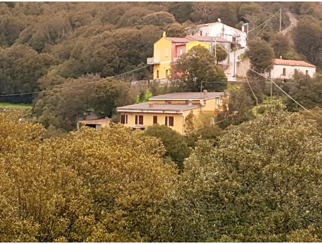 Anteprima foto 1 - Rustico/Casale in Vendita a Bortigiadas (Sassari)