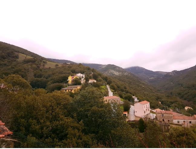 Anteprima foto 2 - Rustico/Casale in Vendita a Bortigiadas (Sassari)
