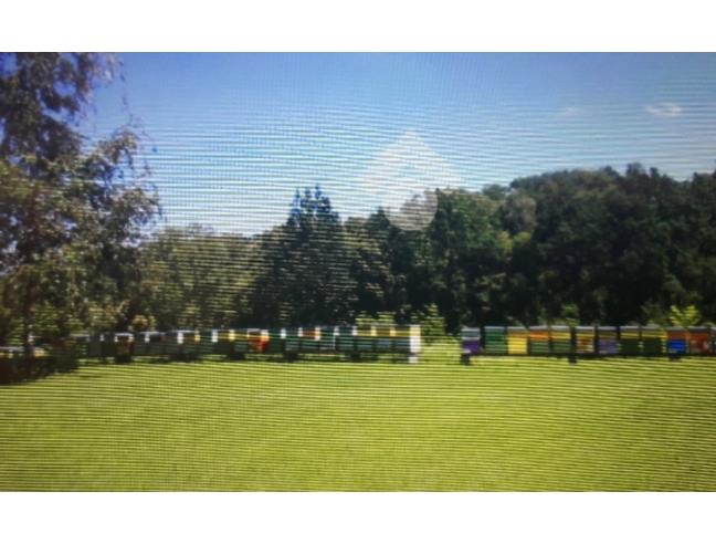 Anteprima foto 8 - Rustico/Casale in Vendita a Bricherasio (Torino)