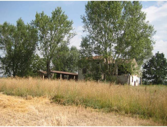 Anteprima foto 7 - Rustico/Casale in Vendita a Busseto (Parma)