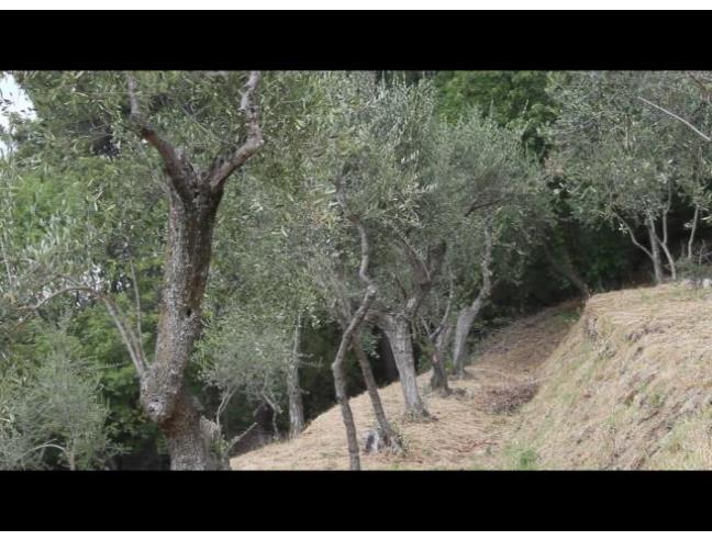 Anteprima foto 5 - Rustico/Casale in Vendita a Buti (Pisa)