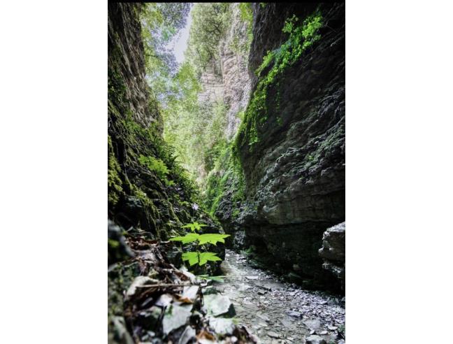 Anteprima foto 7 - Rustico/Casale in Vendita a Cagli - Località Massa