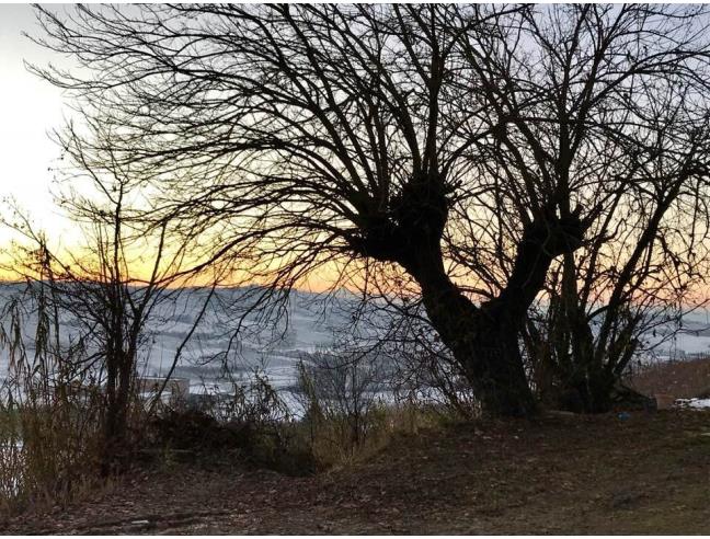 Anteprima foto 5 - Rustico/Casale in Vendita a Calamandrana (Asti)