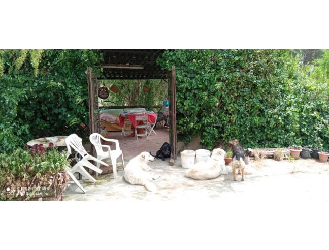 Anteprima foto 5 - Rustico/Casale in Vendita a Caltanissetta - Centro città