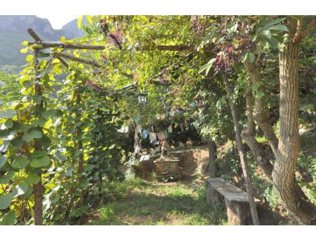 Anteprima foto 3 - Rustico/Casale in Vendita a Camaiore - Casoli