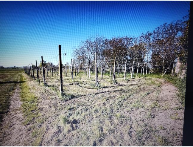 Anteprima foto 4 - Rustico/Casale in Vendita a Camisano Vicentino - Rampazzo