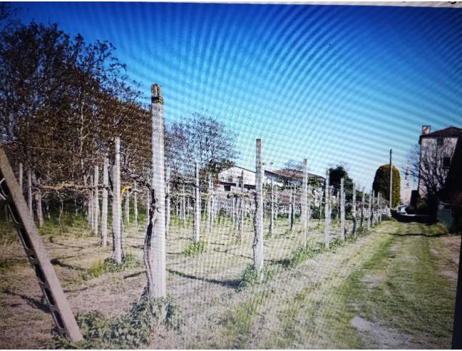 Anteprima foto 5 - Rustico/Casale in Vendita a Camisano Vicentino - Rampazzo