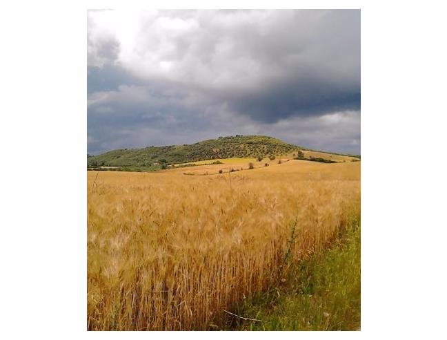 Anteprima foto 4 - Rustico/Casale in Vendita a Campagnatico - Sant'Antonio