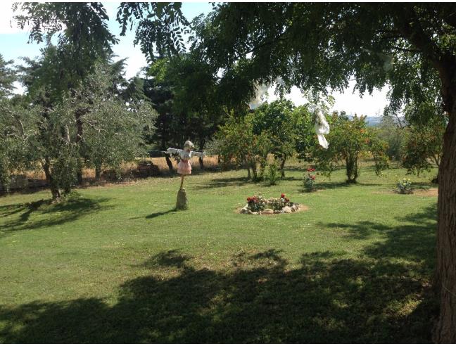 Anteprima foto 6 - Rustico/Casale in Vendita a Campagnatico - Sant'Antonio