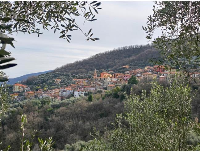 Anteprima foto 3 - Rustico/Casale in Vendita a Caravonica (Imperia)
