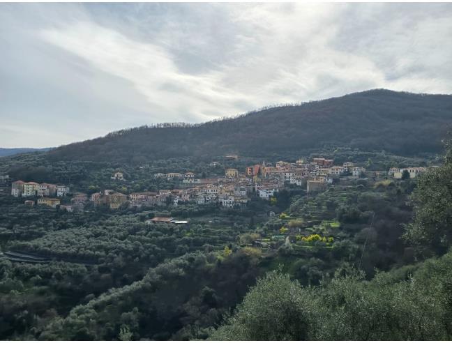 Anteprima foto 4 - Rustico/Casale in Vendita a Caravonica (Imperia)