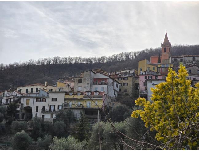 Anteprima foto 5 - Rustico/Casale in Vendita a Caravonica (Imperia)