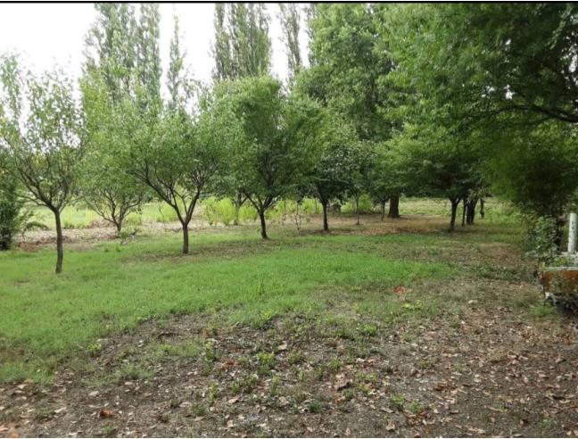 Anteprima foto 7 - Rustico/Casale in Vendita a Carpi (Modena)