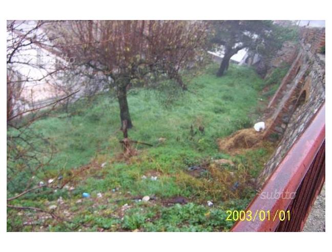 Anteprima foto 5 - Rustico/Casale in Vendita a Carunchio (Chieti)