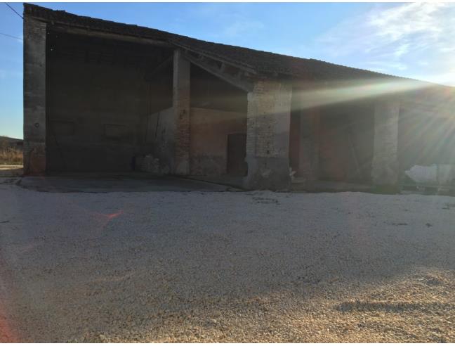 Anteprima foto 5 - Rustico/Casale in Vendita a Casaloldo (Mantova)