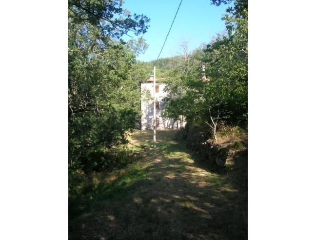 Anteprima foto 3 - Rustico/Casale in Vendita a Castel San Niccolò - Vertelli